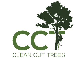 Clean Cut Trees